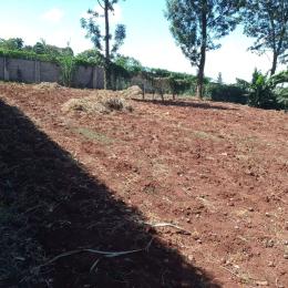 Land for sale Runda Nairobi