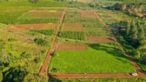 Land for sale Ruiru Kiambu