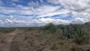 Land for sale Athi RIver Machakos