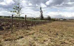 Land for sale Kisaju Kitengela
