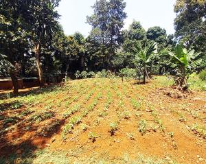 Land for sale Lavington Nairobi