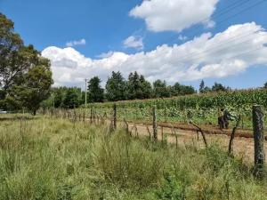 Land for sale Nyahururu Nyahururu