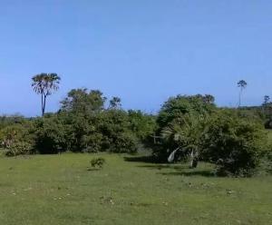 Land for sale Diani Mombasa