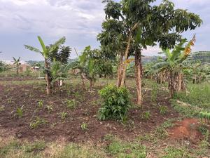 Land for sale Kira kitukutwe buwava Kira Wakiso Central