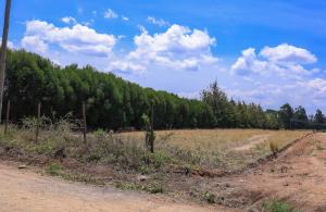 Residential Land for sale Nanyuki Airstrip  Nanyuki Nanyuki