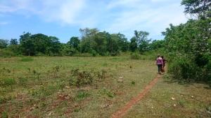 Land for sale Zirobwe gayaza road  Gayaza Wakiso Central
