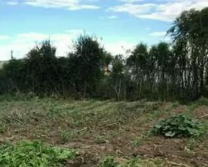 Land for sale Kamakis Ruiru