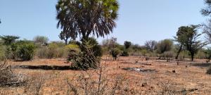 Land for sale Lamu West Lamu