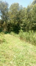 Land for sale Kikuyu Kiambu