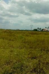 Land for sale Juja Kiambu