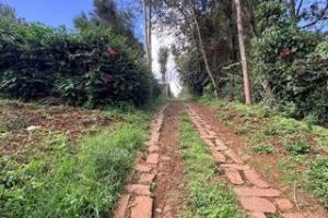 Land for sale Ngong Kajiado