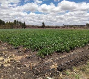 Land for sale Kisaju Kitengela