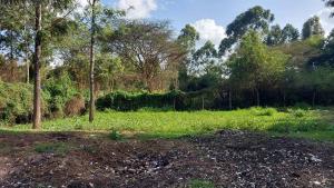 Land for sale Riruta Nairobi