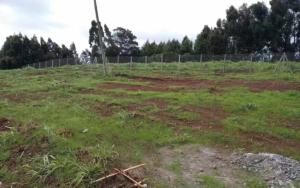 Land for sale Limuru Central Kiambu