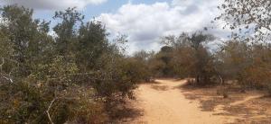 Land for sale Malindi Kilifi