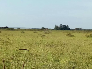 Land for sale Laikipia Laikipia