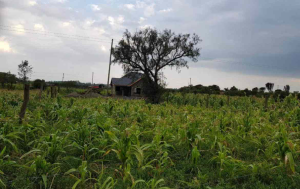 Land for sale Nakuru Town Nakuru