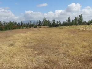 Land for sale Kangundo Road Kangundo