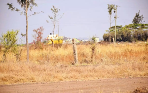 Land for sale Kamakis Ruiru