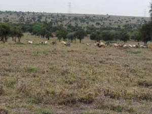 Land for sale Isinya Isinya