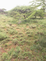 Land for sale Kajiado Kajiado