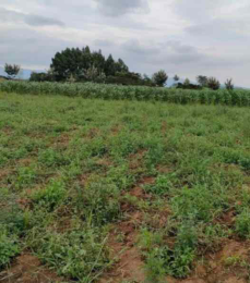 Land for sale Naivasha East Nakuru