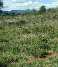 Land for sale Laikipia Laikipia