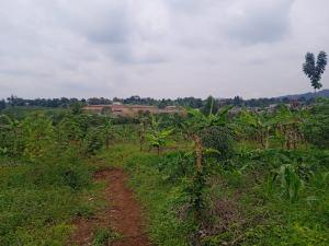 Land for sale nakasajja Gayaza Wakiso Central