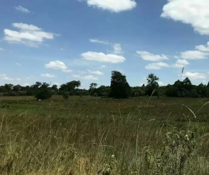 Land for sale Nyahururu Nyahururu