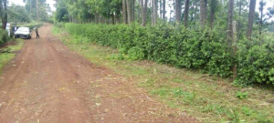 Land for sale Nyeri Nyeri