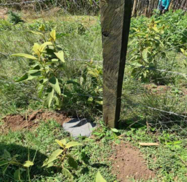 Land for sale Nyahururu Nyahururu