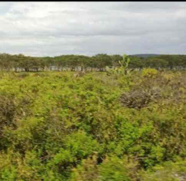 Land for sale Biashara (Naivasha) Nakuru