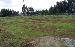 Land for sale Tigoni Limuru