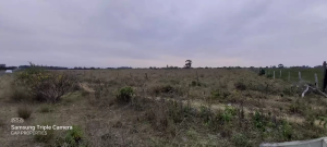 Land for sale Narumoru, Nyeri Nyeri