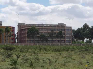 Land for sale Njoro Nakuru