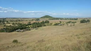 Land for sale Nyeri Nyeri