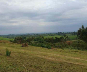 Land for sale Tigoni Limuru