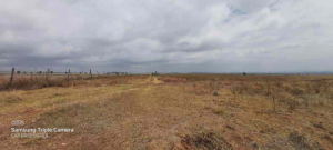 Land for sale Timau, Meru Meru