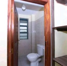 1 bedroom mini flat  Bedsitter Flat&Apartment for rent Parkland Ngara Nairobi