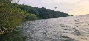 Land for sale Bwema island mukono  Buikwe Central