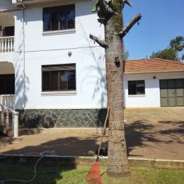 4 bedroom Villa for rent Kironde road  Makindye Kampala Central