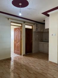 1 bedroom mini flat  Bedsitter Flat&Apartment for rent Ruiru close to Zetech University  Kamakis Ruiru