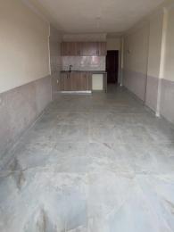 1 bedroom mini flat  Bedsitter Flat&Apartment for rent Nakuru Section 58  Nakuru Town Nakuru
