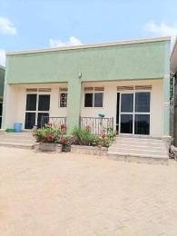 1 bedroom mini flat  Apartment Block Apartment for rent kira town Kira Wakiso Central