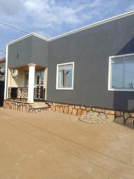 1 bedroom mini flat  Bungalow Apartment for rent Kira Nsasa  Kira Wakiso Central