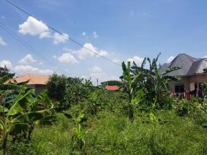Land for sale Iganga bulubandi Iganga Eastern