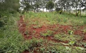 Land for sale Thika Kiambu
