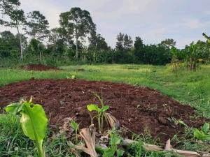 Land for sale Mukono  Kampala Central Kampala Central