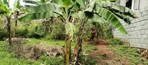 Land for sale Namugongo sonde hill view estate  Goma Mukono Central