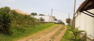 Land for sale Namwezi estate  Goma Mukono Central